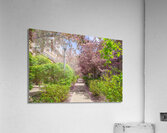 Dreamy Spring Path Acrylic Print