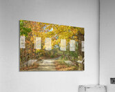 Decew Falls Autumn Trail Acrylic Print
