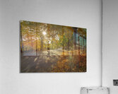 Howells Autumn Road Acrylic Print