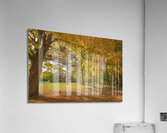 Rural Niagara Autumn Residence Acrylic Print