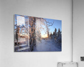 Winter Morning Frost Sunburst Acrylic Print