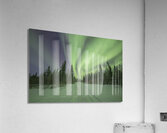 Light up the path Acrylic Print