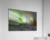 Ingraham Aurora Ribbons Acrylic Print