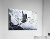 Blue Heron flight Takeoff Acrylic Print