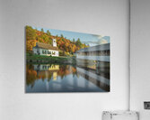 Stark Autumn  Reflections Acrylic Print