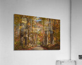 Lovers Lane Autumn Splendor Acrylic Print