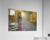 Autumn walk to Tannery Hill Bridge Acrylic Print
