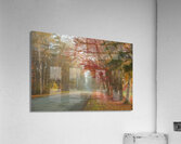 Foggy Morning Autumn Road Impression acrylique