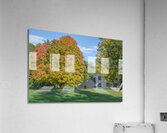 Autumn Maple Magic Impression acrylique