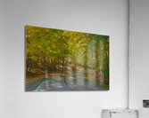 Letchworth Autumn Tree Tunnel Glow Acrylic Print
