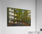 Taughannock Falls Forest Trail Acrylic Print