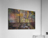 Autumn Gorge Paradise Acrylic Print