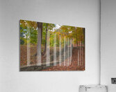 Letchworth Old Stone Walkway Acrylic Print