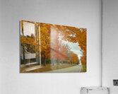 Rural Autumn Road Splendor  Acrylic Print