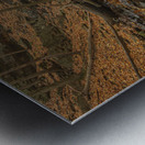 Autumn at Sherman Falls Metal print