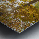 Autumn Glow Impression metal