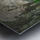 Cherry Blossom Pathway Metal print