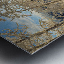 Winter Magic Metal print