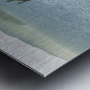 Forillion historic houses Metal print