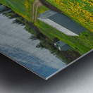 Bonaventure Dandelion Carpet Metal print