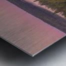 Pilot s Cotton Candy Sunset Metal print