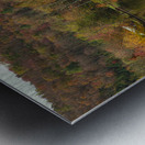 Classic Autumn Pond Beauty Metal print