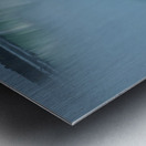 Horseshoe Silky Summer Smooth Metal print