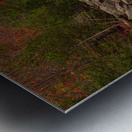 Lake Willoughby Autumn Magic Metal print