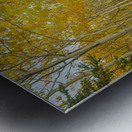 Northern Autumn Serenity Impression metal