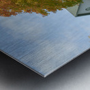 Autumn Classic Maples Impression metal