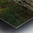 Autumn Forest Stream Metal print