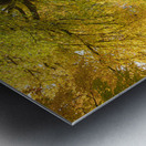 Autumn Splash in Quebec City Metal print