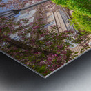 Dreamy Spring Path Metal print