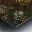 Eugenia Lake sunburst Metal print