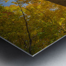 Forest Magical Autumn Glow Metal print