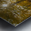 Howells Autumn Road Metal print