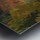 Lac Superieur Autumn beauty Metal print