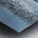 Lady Evelyn Winter Wonderland Metal print