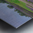 Lavender Field Dreams Metal print