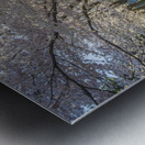 Morning Spring Freshness Metal print