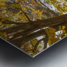 Rural Niagara Autumn Residence Metal print