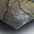 Spencer Park Cherry Blossom Splendor Metal print