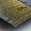 Sunwapta River Beauty Impression metal