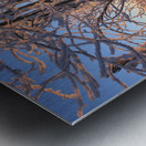 Winter Morning Frost Sunburst Metal print