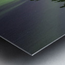 Light up the path Metal print