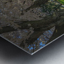 Cherry Blossom Pathway during sunrise Metal print