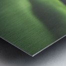 Ingraham Aurora Ribbons Metal print