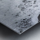 Blue Heron flight Takeoff Metal print