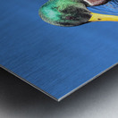 Duck Reflections Impression metal