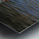 Summer Swan Reflection Metal print